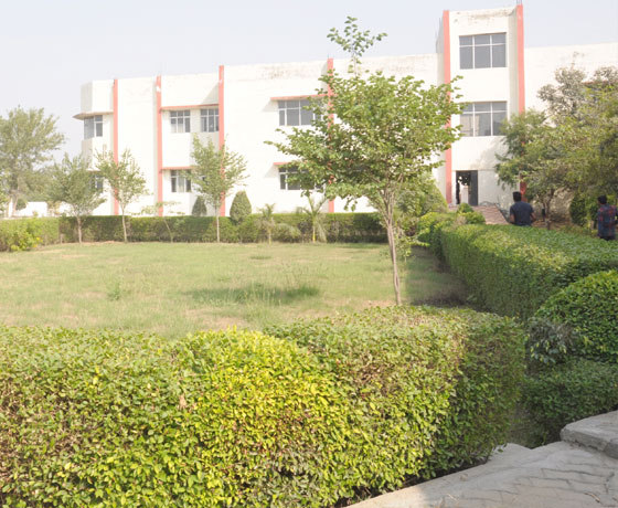 Eco Friendly Campus